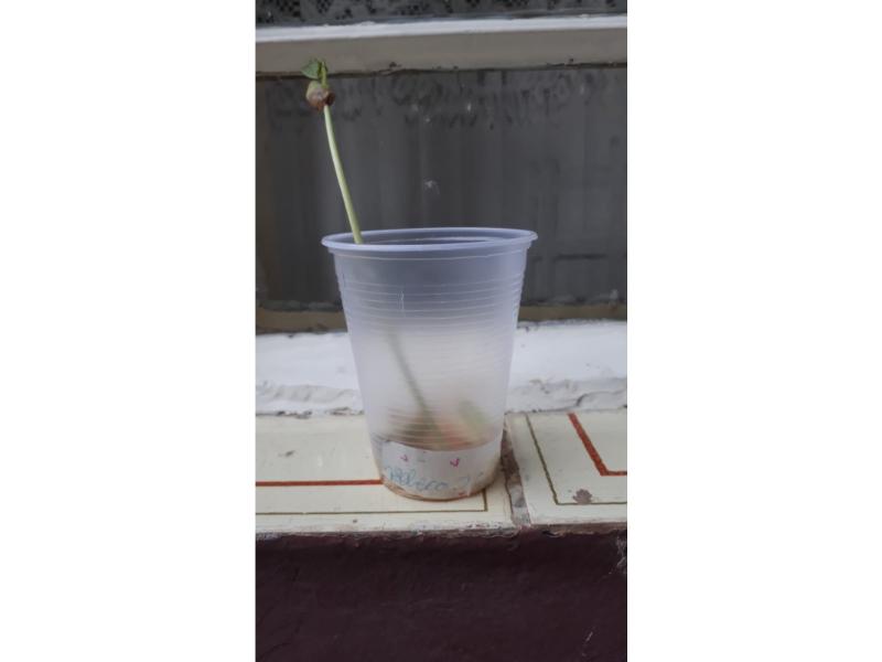 image01